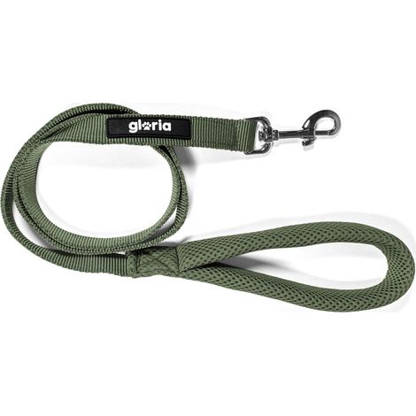 Guinzaglio per Cani Gloria 120 cm Verde S (1/5)