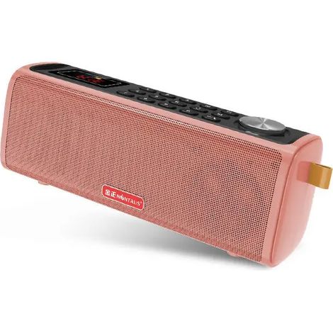 Mini radio FM portable, enceinte Bluetooth portable de 10 W, lecteur de musique pour carte TF et USB, prend en charge la réduction du bruit CVC pour les appels/enregistrements. (1/5)