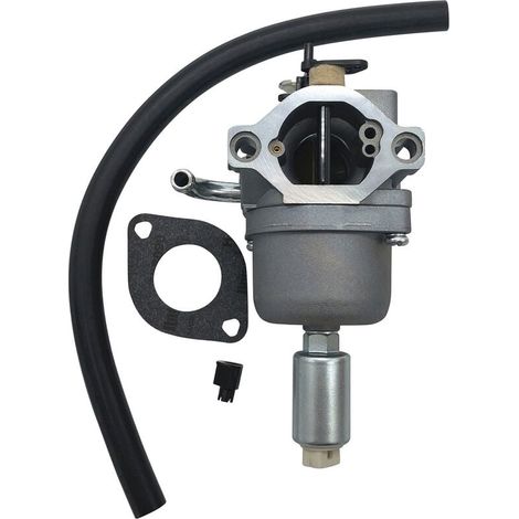 Nouveau carburateur 796109 591731 594593 (1/5)