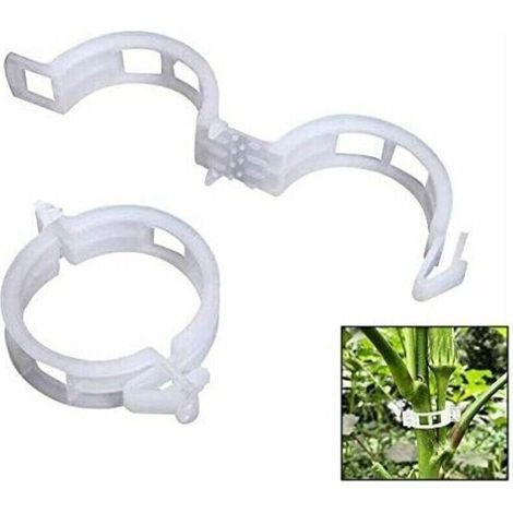 Plante Clips,plastique , pinces, clips à suspendre, clips de vigne, Vigne Clipsplant Clips support tomates, poivrons, Vigne plantes et fleurs de développement Droit, (100 pces) (1/4)
