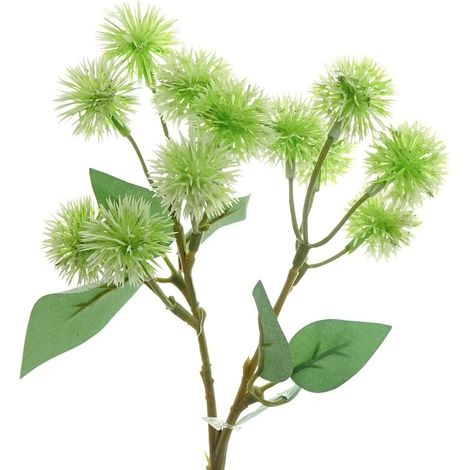 GASPER Fruchtstand Distelzweig Grün 40 cm - Kunstblumen (1/2)