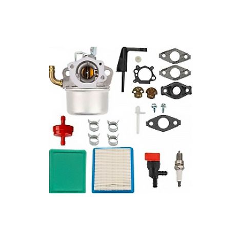 Reemplazo de carburador 798653 120252 para motores Briggs Stratton 791077 696981 698860 121002 121012 121232 110412 111432 110437