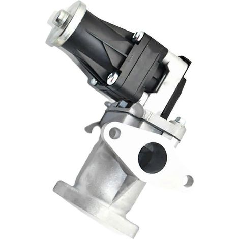 1207100-ED01B Abgas-AGR-Ventilbaugruppe für-- (1/5)