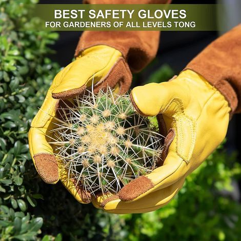 HONORNIC - Gants de jardinage longs pour femme, en cuir de vachette marron, taille moyenne (1/2)