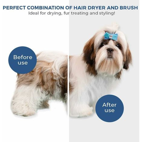 Jusch – Sèchoir pour chien et chat 2 en 1 – Séchoir silencieux portable avec brosse à lisser – Température réglable pour petits et moyens animaux (1/4)
