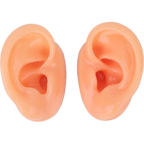 Mannequin d'oreille humaine en silicone, support d'écouteurs IEM et aides auditives, modèle d'affichage pour conférences et cours. (1/5)