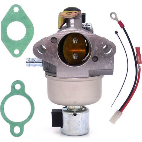 Carburateur de remplacement - compatible 12 853 178-S 12 853 131-S (1/4)