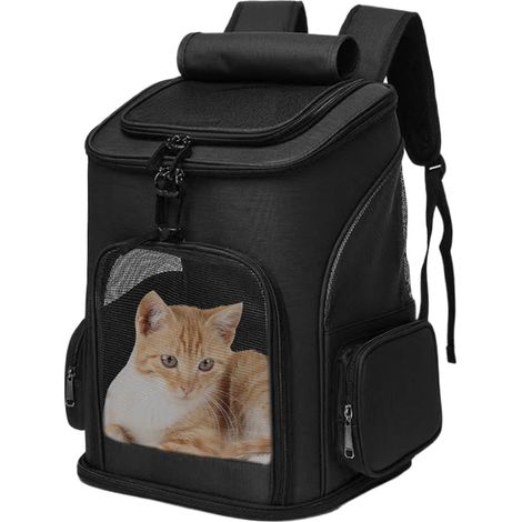 Grande boîte de transport pour chat, pliable, portable, (1/5)