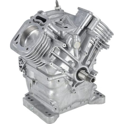Monoblocco completo (MDL 35 HS) BRIGGS & STRATTON 80083855 (1/5)