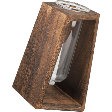 Terrarium en verre pour plantes, en forme de tube à essai. Terrarium de bureau multifonctionnel, innovant et fabriqué à la main, pour plantes hydroponiques. Grille en carbone. (1/5)