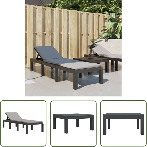 The Living Store Sonnenliege mit Kissen Anthrazit PP - Sonnenliege - Gartenmöbel - Outdoor Möbel - Lounge Chair - Relaxsessel (1/5)