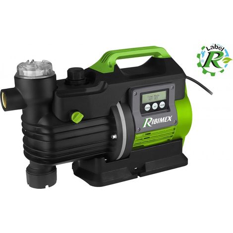 850-w-oberflächenwasserpumpe mit filter - Ribimex - PRJETF850AUTO (1/3)