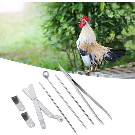Edelstahl-Hühner- und Kapaun-Werkzeugset, Geflügel-Veterinärinstrument für Hühner (1/5)