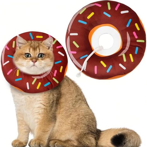 Collerette Récupération Protection Lavable pour Chat et Chien, Collier Post Opératoire, 25CM L Collerettes pour Animaux de Compagnie (1/5)