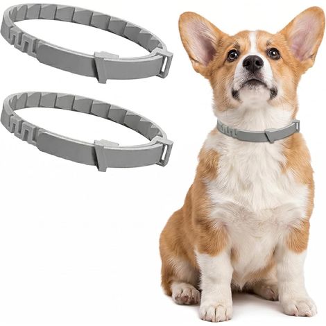 2 Pcs Collier Anti Puces pour Chien Gris, Collier Chien Élimine Puces Tiques Poux, Résistant à l'Eau Réglable, Protection Chien Anti-parasite Efficace Sûr (1/5)