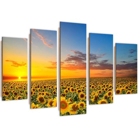 Quadro deco panel 5 parti, Girasoli su un prato - 200x100 (1/5)