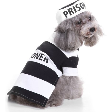 Vêtements pour animaux de compagnie, robe de prisonnier pour chien, motif transfiguration, rayures noires et blanches