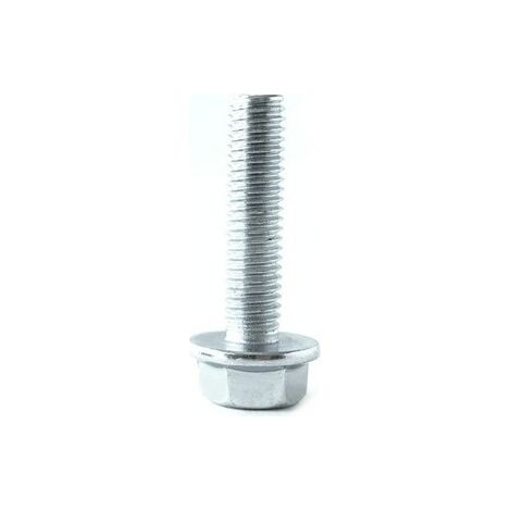 Tornillo CASTELGARDEN - GGP 18551535/0 - 118551535/0