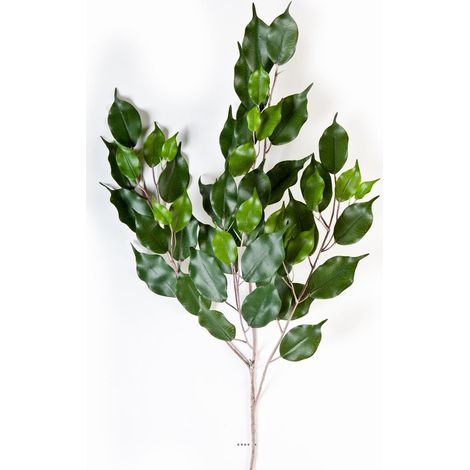 Branche de feuillage ficus artificiel H 75 cm 55 feuilles vertes top