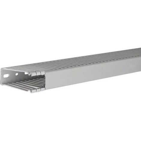 Tehalit Verdrahtungskanal PVC BA6 80025B gr 2 Stk