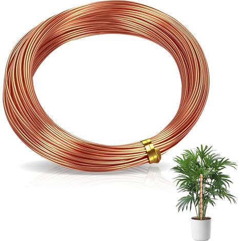Fil de Cuivre Pur Ø 1mm, 20M - Bobine de Fil de Cuivre T2 Émaillé pour Bricolage, Électronique et Jardinage Anti-limaces (1/5)