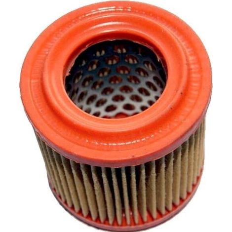 Filtro Air AS motor 4221