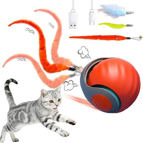Jouet interactif pour chat - Jouet électrique pour chat - USB - Deux modes de travail - 3 queues de rechange - Jouet intelligent pour chat - Orange (1/5)
