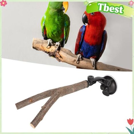 Tbest Oiseau Branche Perche Support de perchoir de branche d'oiseau formation interactive empêcher animalerie jouet 20 cm/h. Chine (1/5)