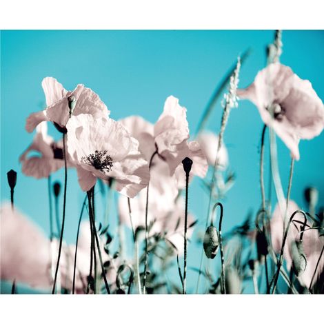 papier peint panoramique fleurs bleu et rose - Sanders & Sanders (1/3)