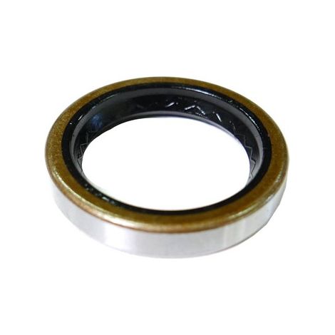 Joint Spi moteur Tecumseh OV358EA-206904F, TVM220, OHV130