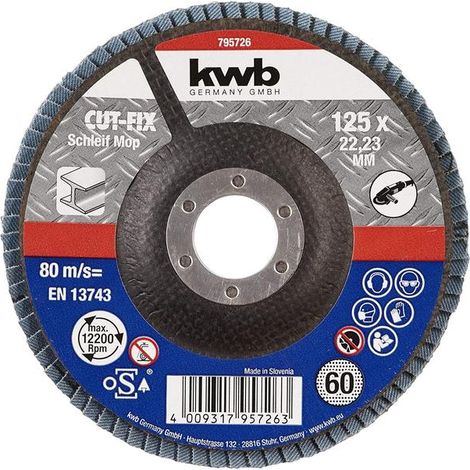 KWB discs laminas. 125x22mm g60 49795726 , Discos Láminas. 125X22Mm G60 de la marca Einhell.