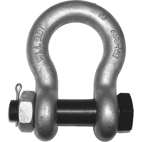 Manille Omega - Classe 6 - WLL 2,0 T - Corps Galvanisé À Chaud - Axe À Vis Avec Goupille - 1 Pièce (1/2)