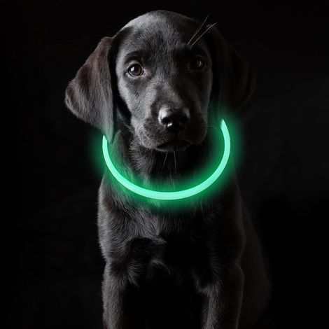 Adjustable 70cm Light-Up Collar, USB Rechargeable, Waterproof, 3 Light Modes, Green, Suitable for Small, Medium, and Large Dogs and Cats (1/5)