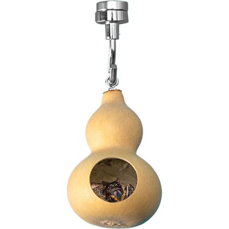 La cachette d'araignée utilise un boulon et un écrou - Très solide - Véritable pour araignées sauteuses, cocon de soie, araignée, cachette, araignée, enclos, accessoires (1/5)