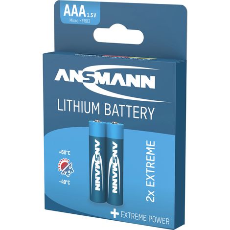 ANSMANN 2x Lithium Batterien Micro AAA / FR03 (1/4)