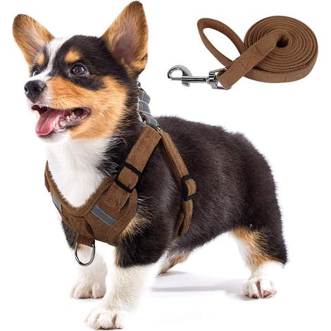 Harnais pour chien en tissu suédé doux au toucher, gilet pour animaux de compagnie, harnais anti-traction réglable et réfléchissant pour chiots, chiens de petite et moyenne taille (1/5)