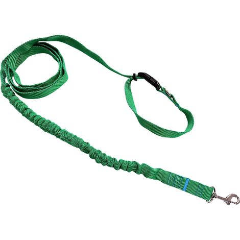 Guinzaglio per cani con ammortizzatore, 280 cm, verde, regolabile, sportivo. (1/5)