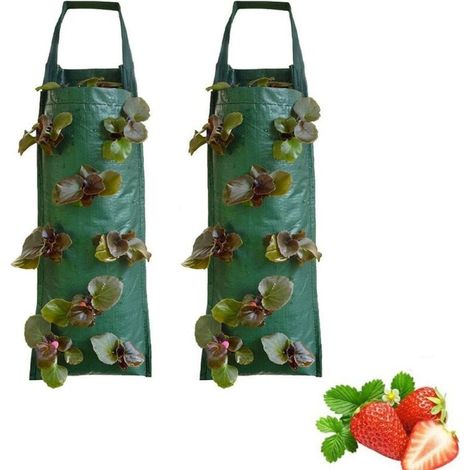 Vertikale Pflanztasche zur Wandmontage, Erdbeer-Anbautasche (inkl. 2 Hängetaschen), geeignet für Pflanzen/Kräuter/Blumen/Gemüse