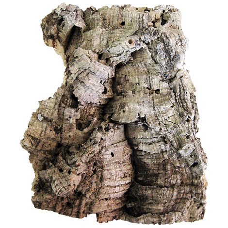 Zattera in sughero per orchidee e tillandsia c.ca 100x30 cm (1/2)
