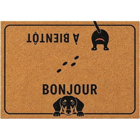 Paillasson Exterieur Entree 60x40 cm, Chat Teckel Bonjour Au Revoir, Tapis Antidérapant pour Porte, Décoratif, Resistant Pluie Maison (1/4)