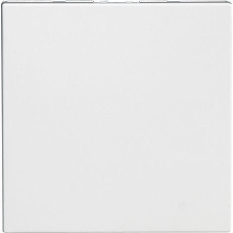 Obturateur Legrand Mosaic 2m Cache-module Pour Tableau électrique - Legrand
