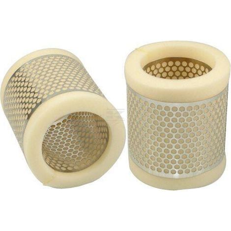 Filtro de aire HIFI FILTER SA17093