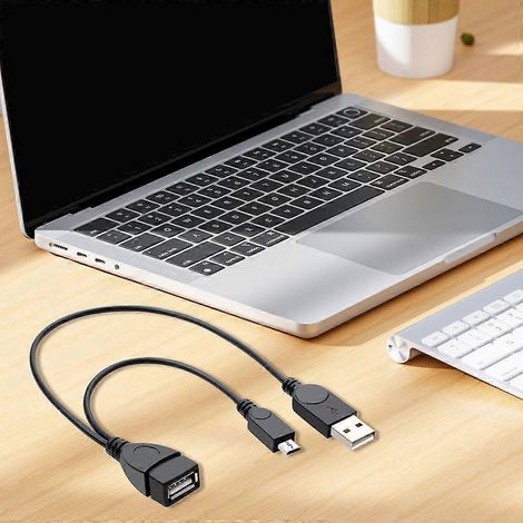 Câble adaptateur USB femelle vers micro-USB OTG pour la connexion de périphériques (1/4)