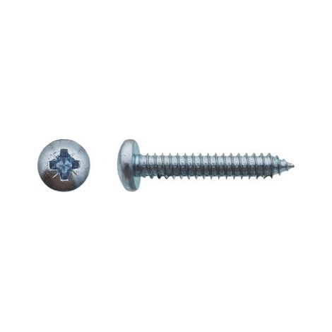 Blechschrauben mit breitem Linsenkopf Pozidriv Verzinkt - 2,9 x 15,9 mm - Schachtel von 2000 - LENNIE - 021289604