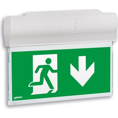 Lampada Emergenza Se/Sa 1H Soffitto Bandiera Ip40 22M ( LINERGY cod. LV1201 )