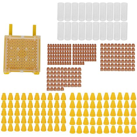 Kit per l'allevamento di regine – accessori in plastica – universale professionale – apicoltori – kit