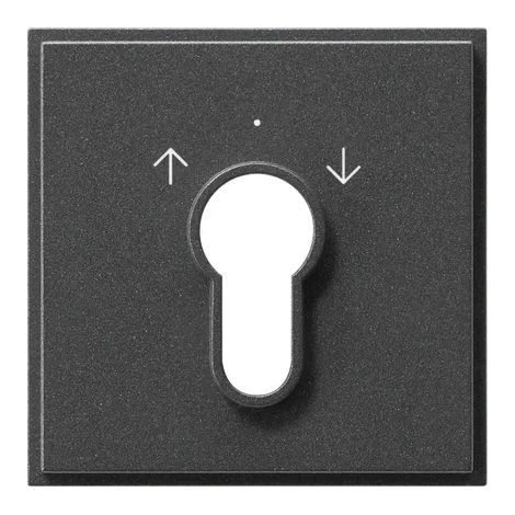Gira Abd. Interruptor/pulsador con llave Gira TX44 (WG UP) Antracita [066467], 0664 67
