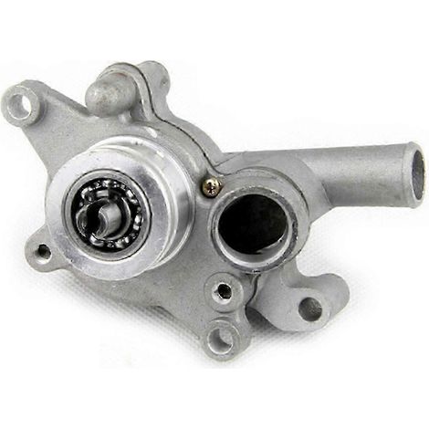 Wasserpumpenbaugruppe für Linhai Buyang LH250 LH300 250CC 260CC 300CC - Ausführung in gutem Zustand 1105 (1/5)