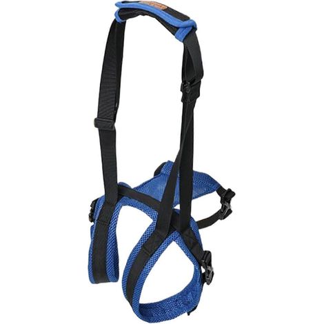 Filiyano-Harnais de levage pour chien Harnais de soutien pour chien Attelle de levage des pattes et du dos pour animaux de compagnie - Aide au levage (1/5)