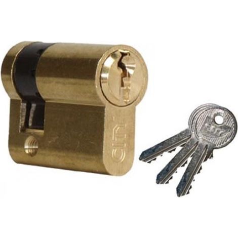 Medio cilindro City ISEO 30x10mm latón pulido - variado V04 KCF005504 - 520930127V04